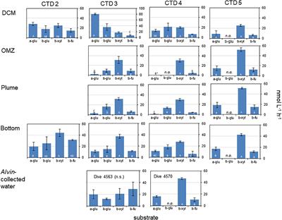 Substantial Carbohydrate Hydrolase Activities in the Water Column of the Guaymas Basin (Gulf of California)